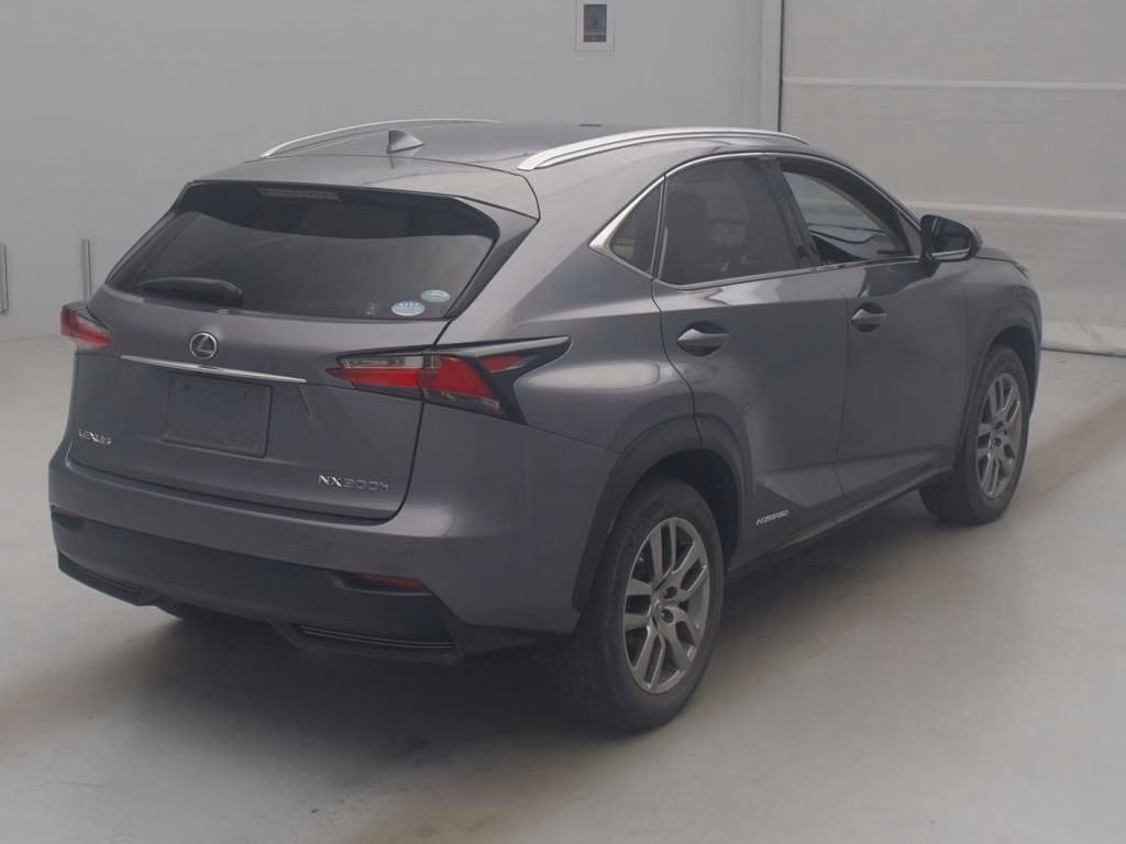 LEXUS NX300
