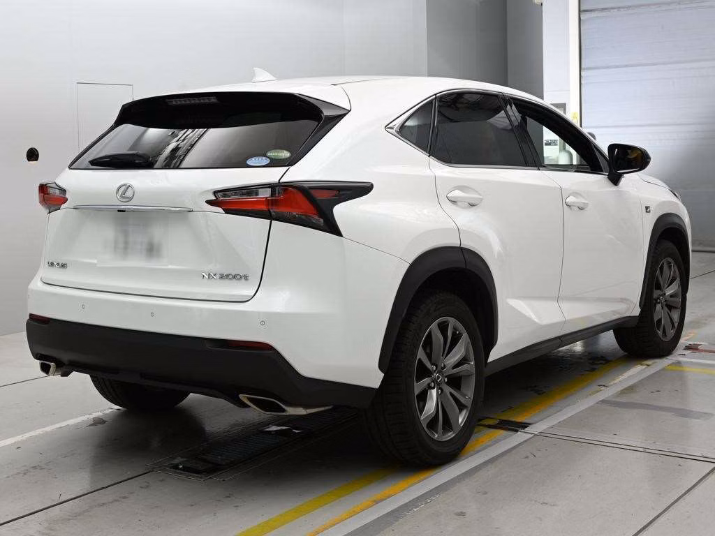 LEXUS NX300