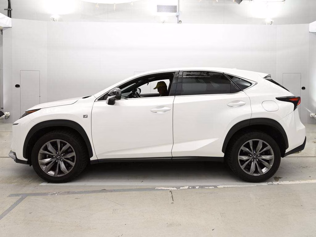 LEXUS NX300