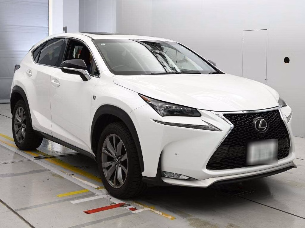 LEXUS NX300
