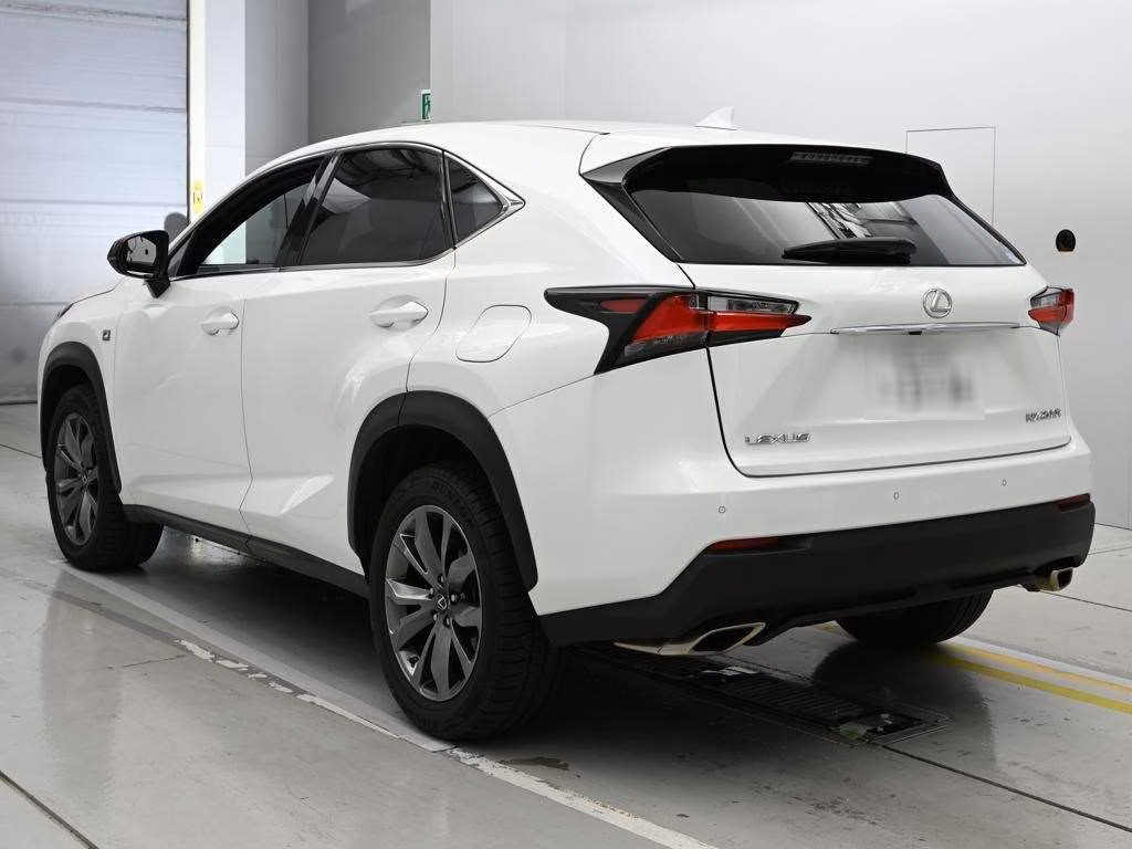 LEXUS NX300