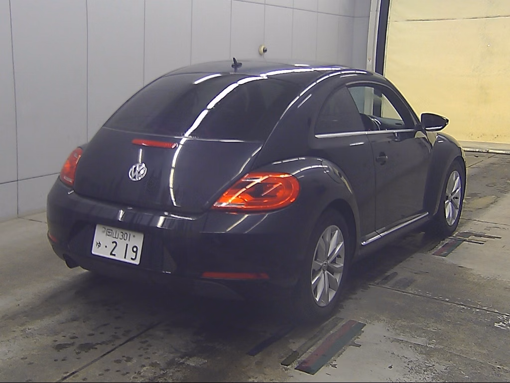VOLKSWAGEN BEETLE