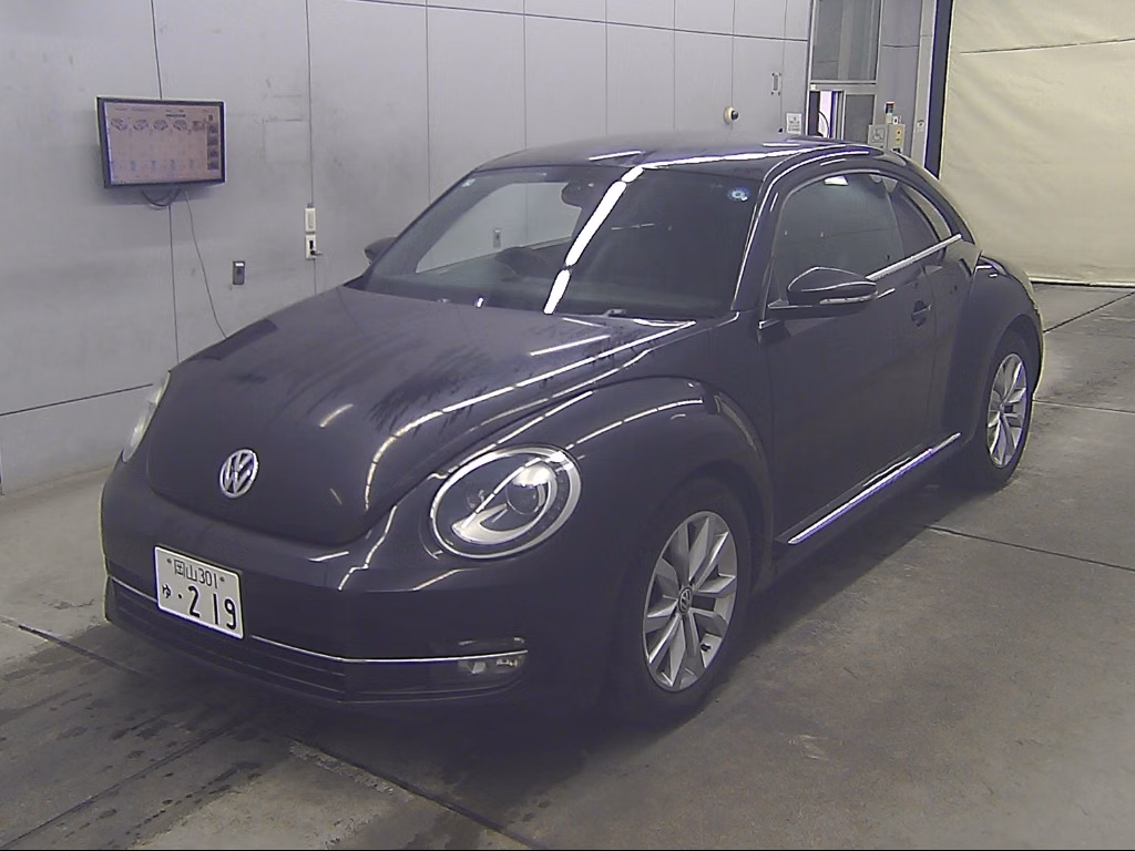 VOLKSWAGEN BEETLE