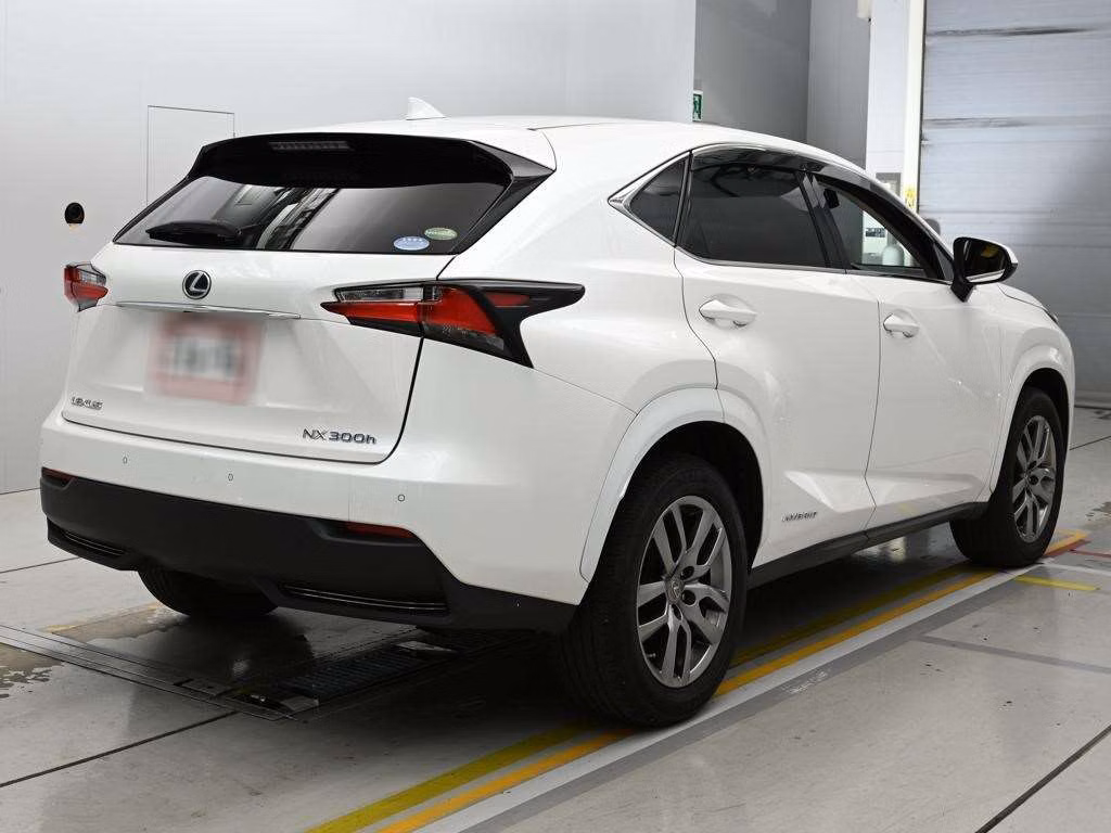 LEXUS NX300