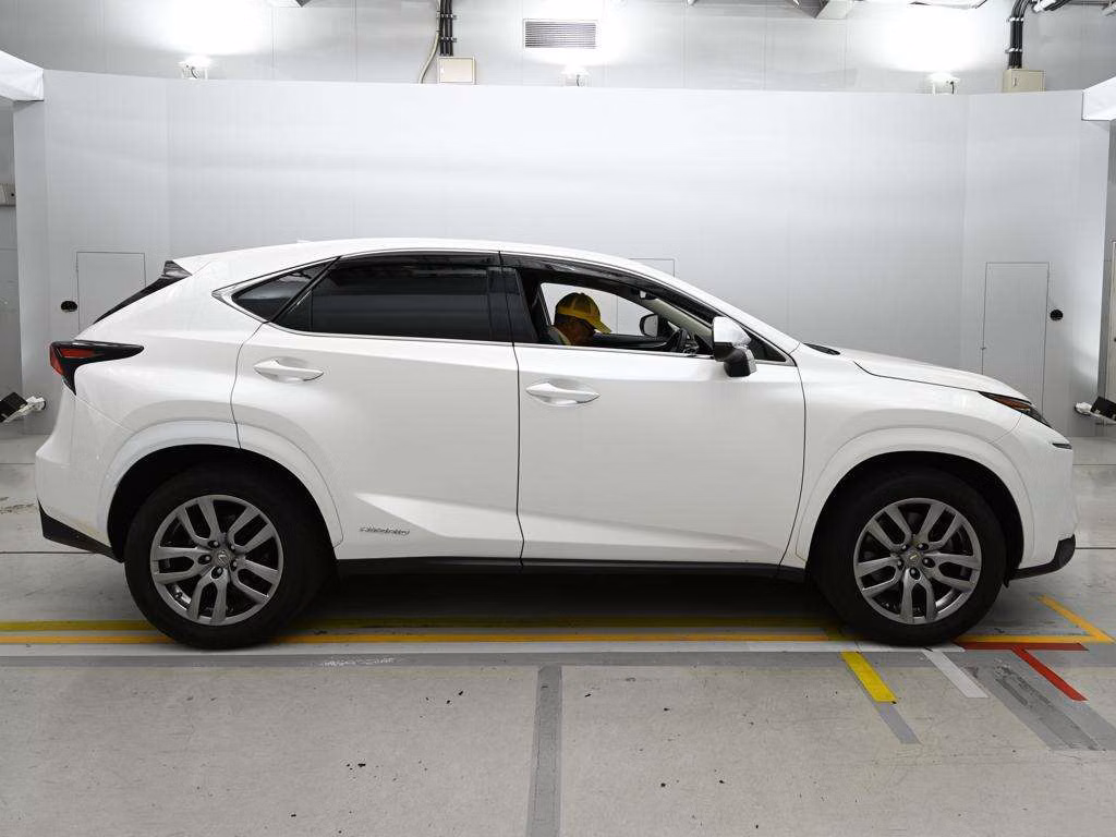 LEXUS NX300