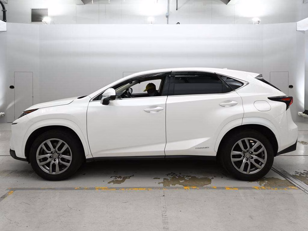 LEXUS NX300