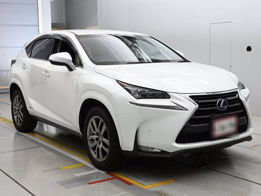 LEXUS NX300