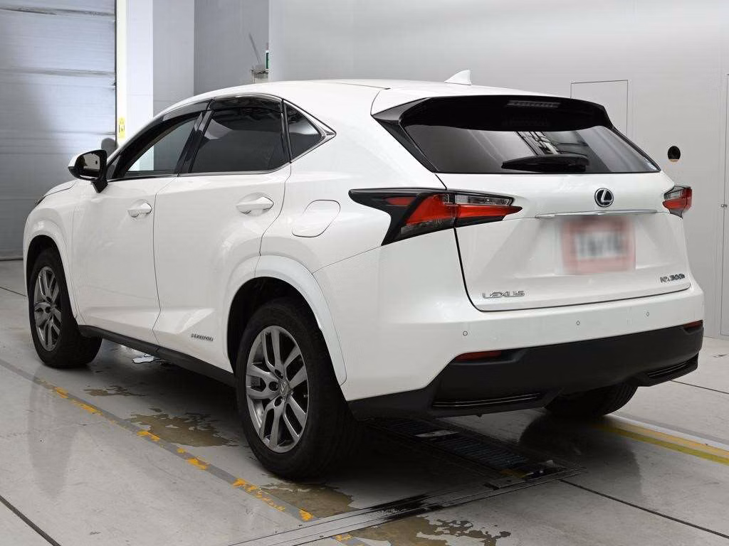 LEXUS NX300