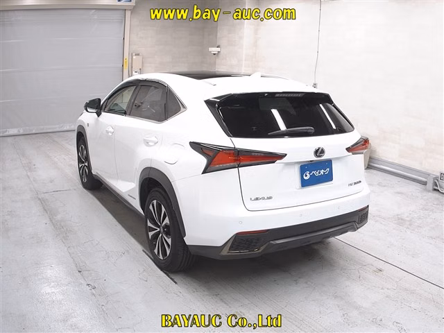 LEXUS NX300