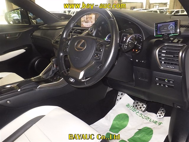 LEXUS NX300