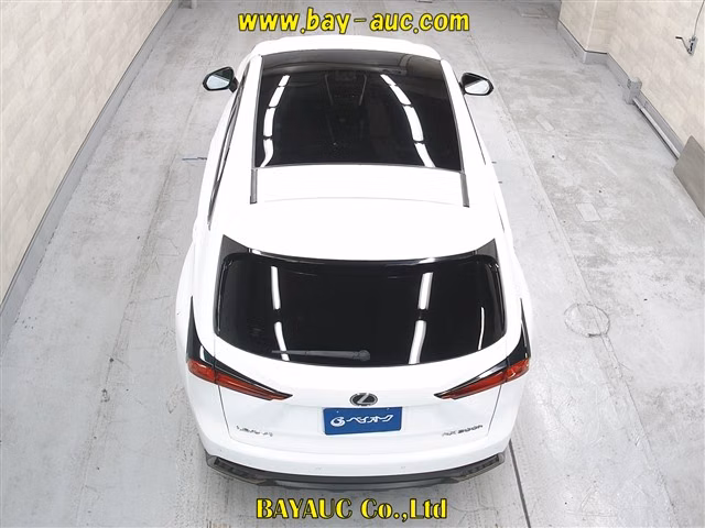 LEXUS NX300