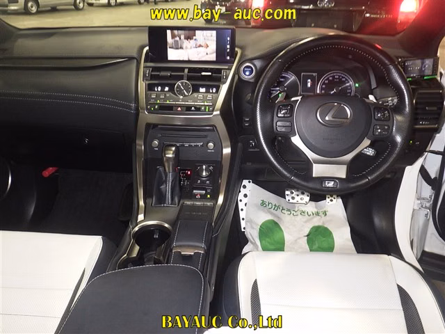 LEXUS NX300