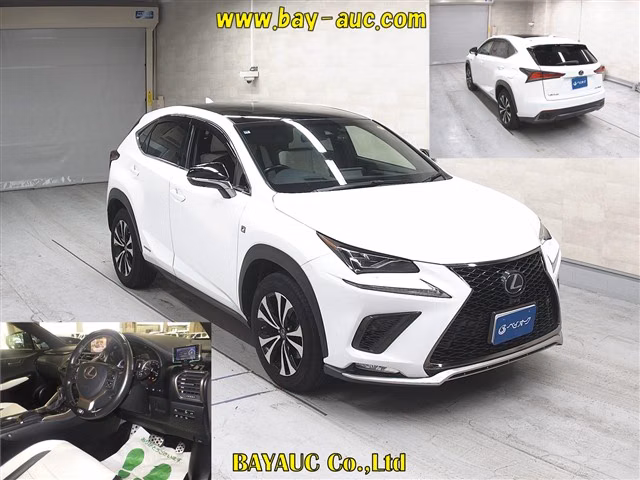 LEXUS NX300