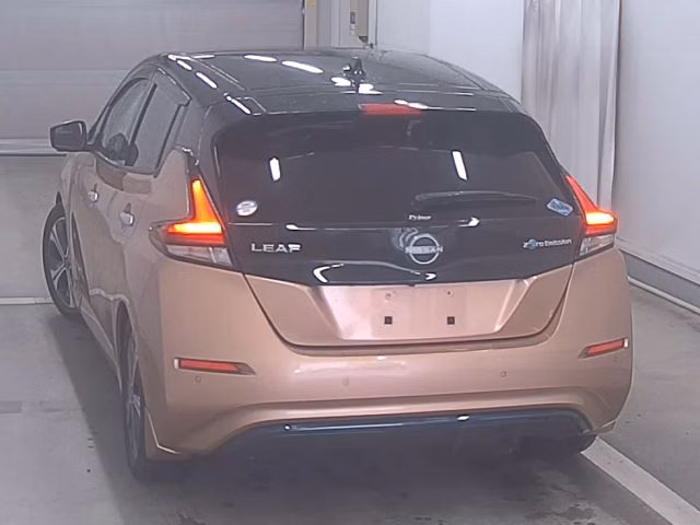 NISSAN LEAF