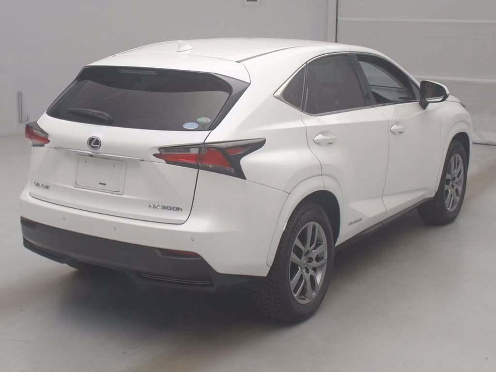 LEXUS NX300