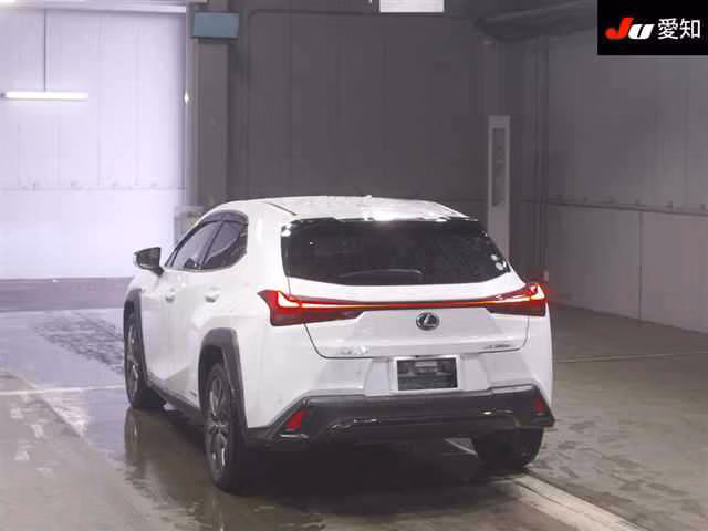 LEXUS UX250H