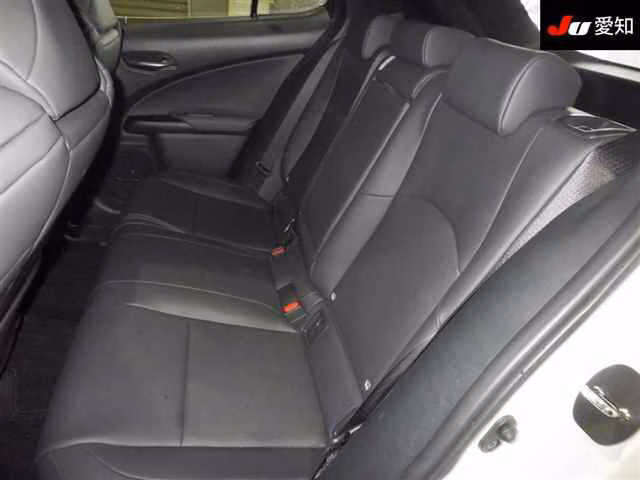 LEXUS UX250H