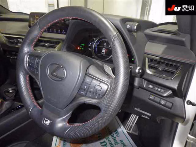 LEXUS UX250H