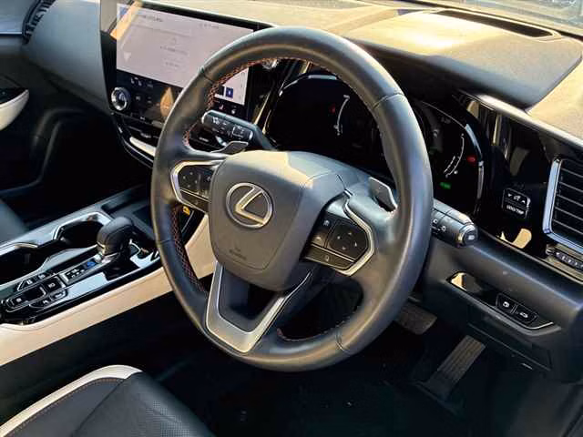 LEXUS NX450H+