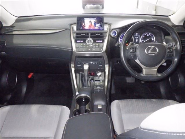 LEXUS NX300H