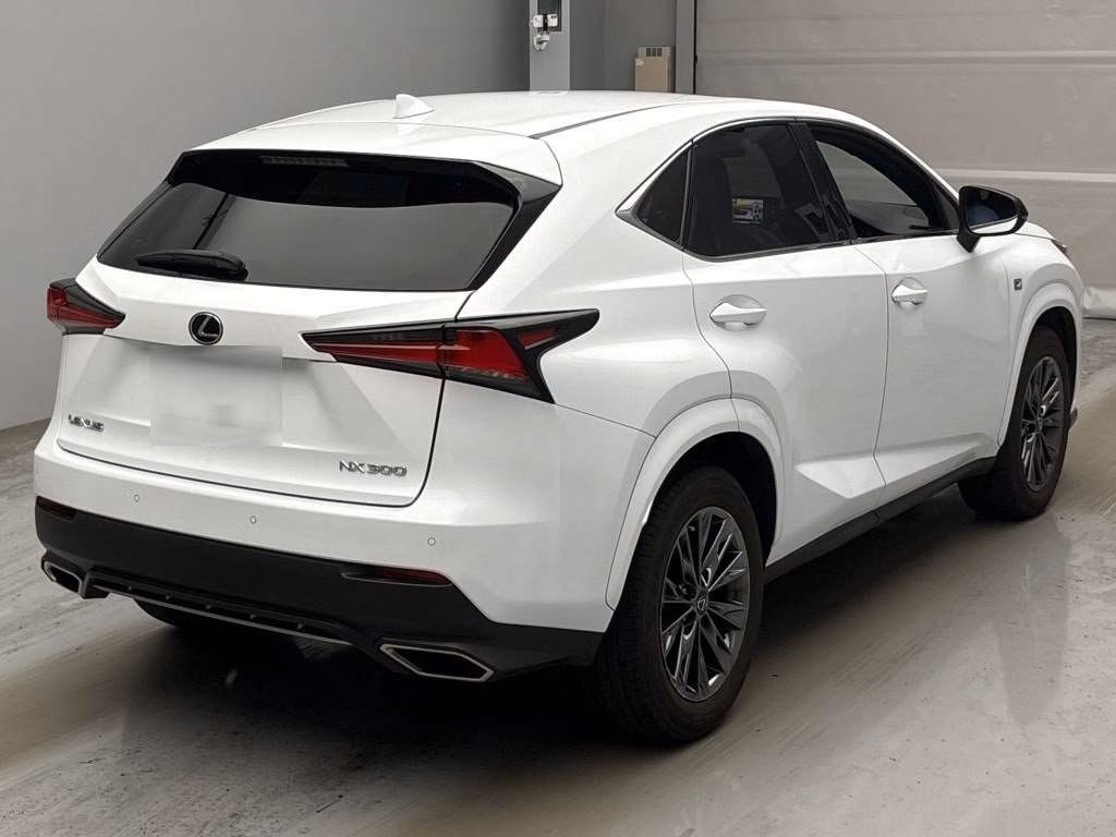 LEXUS NX300