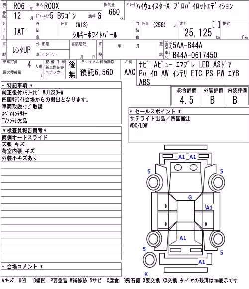 NISSAN ROOX