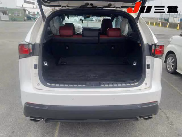 LEXUS NX200T