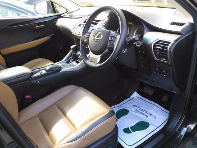 LEXUS NX200T