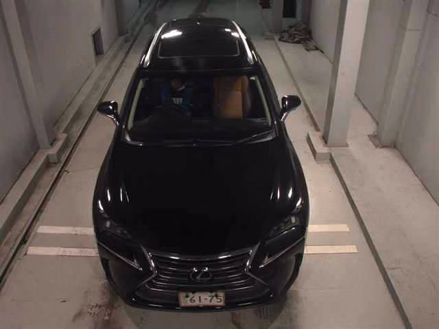 LEXUS NX200T