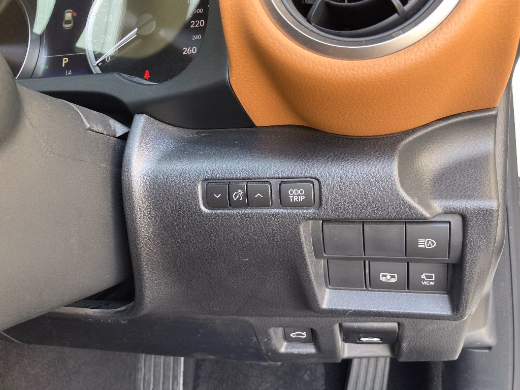LEXUS IS300H