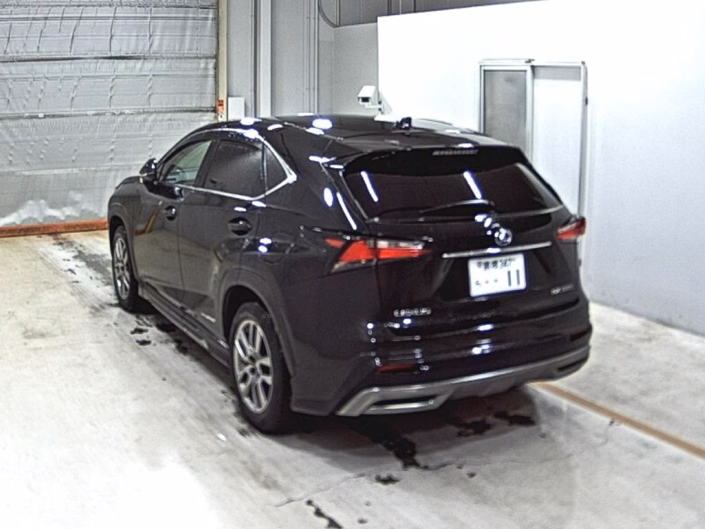 LEXUS NX300