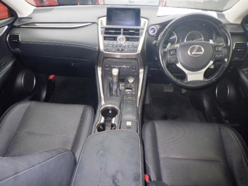 LEXUS NX300