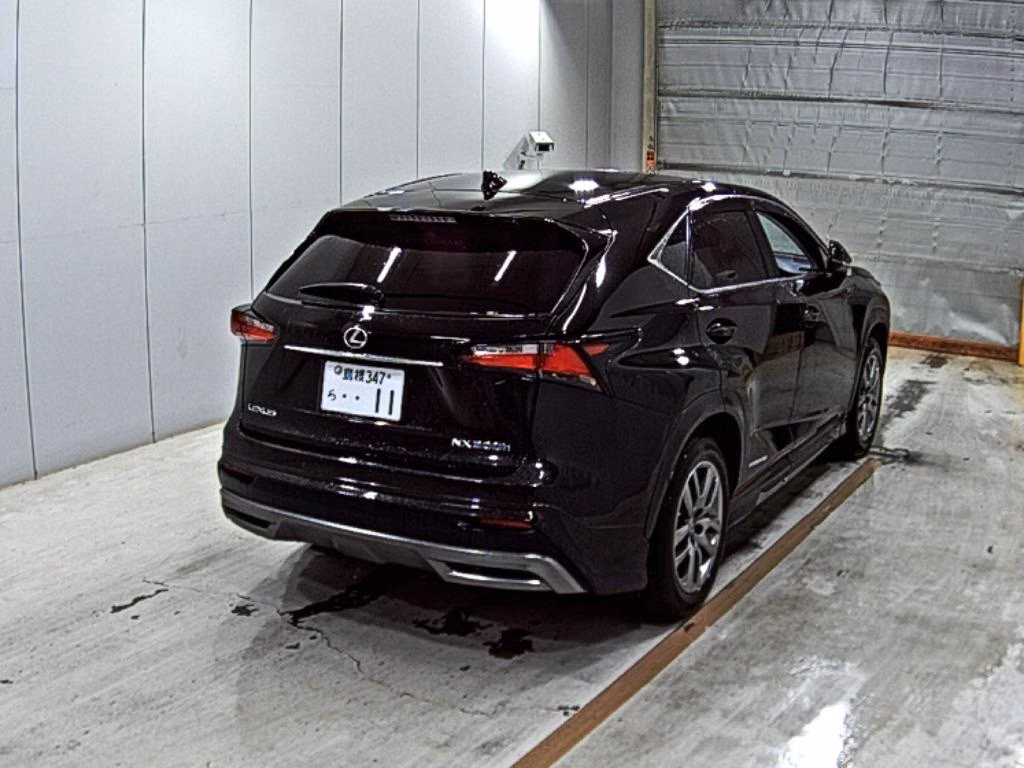 LEXUS NX300