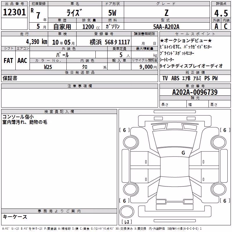 TOYOTA RAIZE
