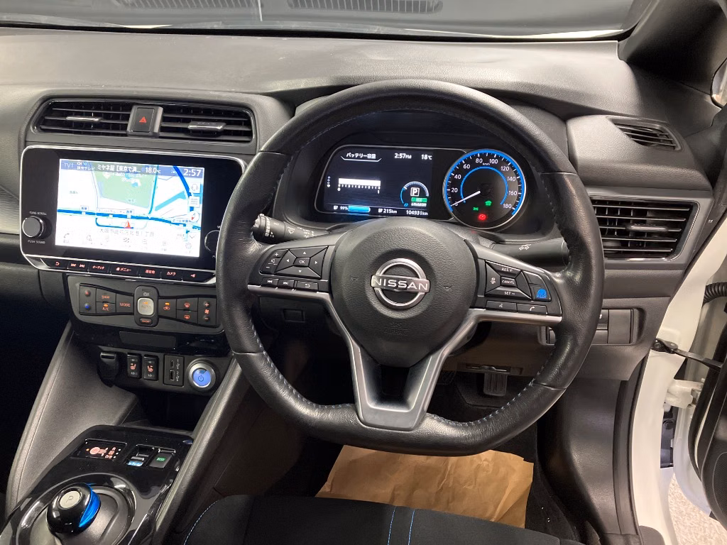 NISSAN LEAF