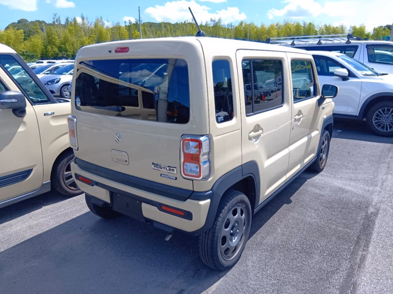SUZUKI HUSTLER