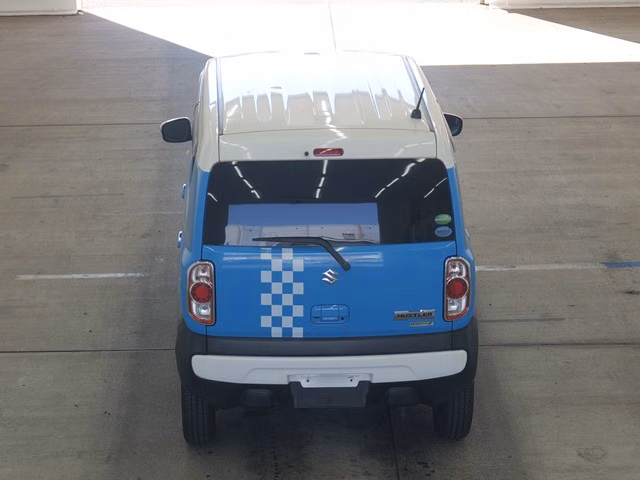SUZUKI HUSTLER