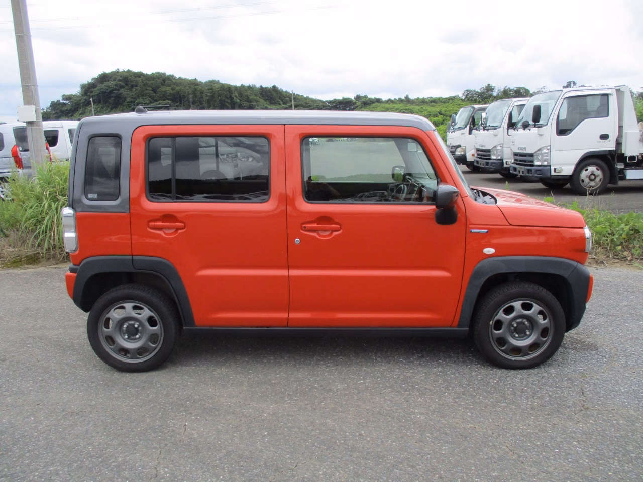 SUZUKI HUSTLER