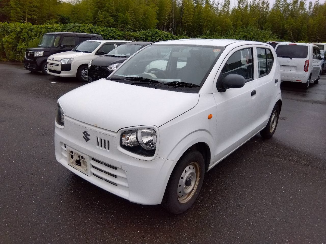 SUZUKI ALTO