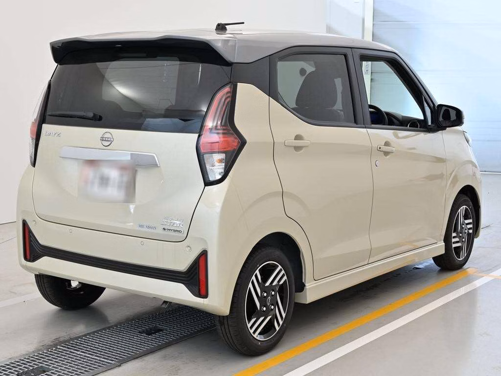 NISSAN DAYZ