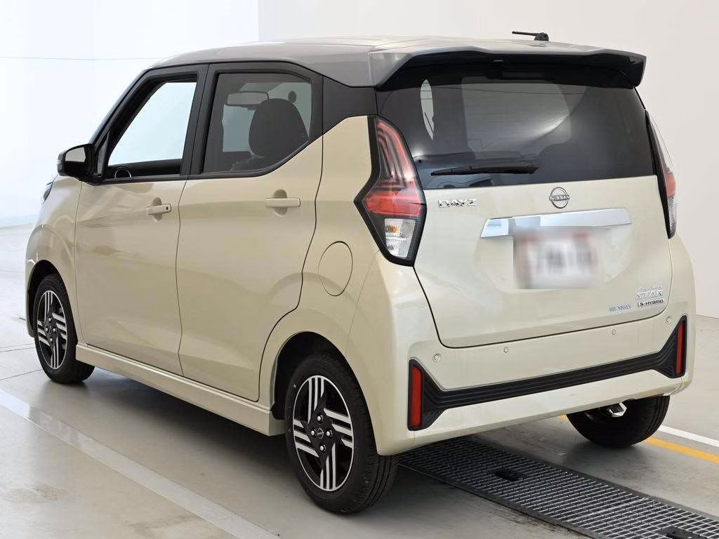 NISSAN DAYZ