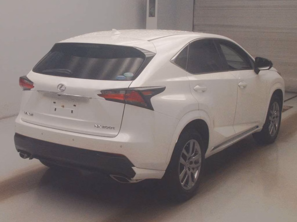 LEXUS NX300
