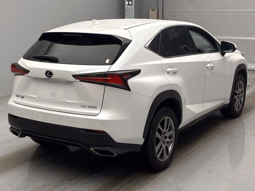 LEXUS NX300