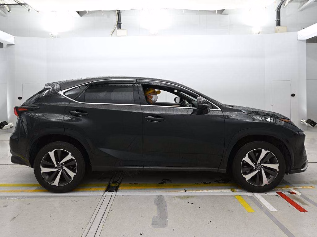 LEXUS NX300