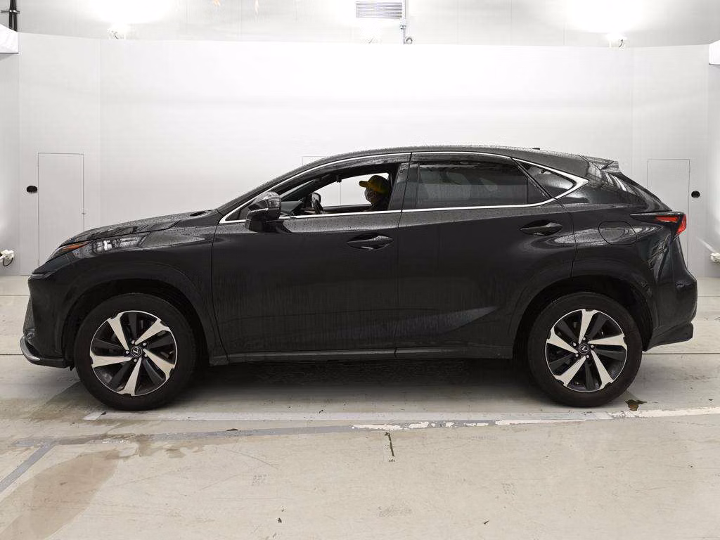 LEXUS NX300