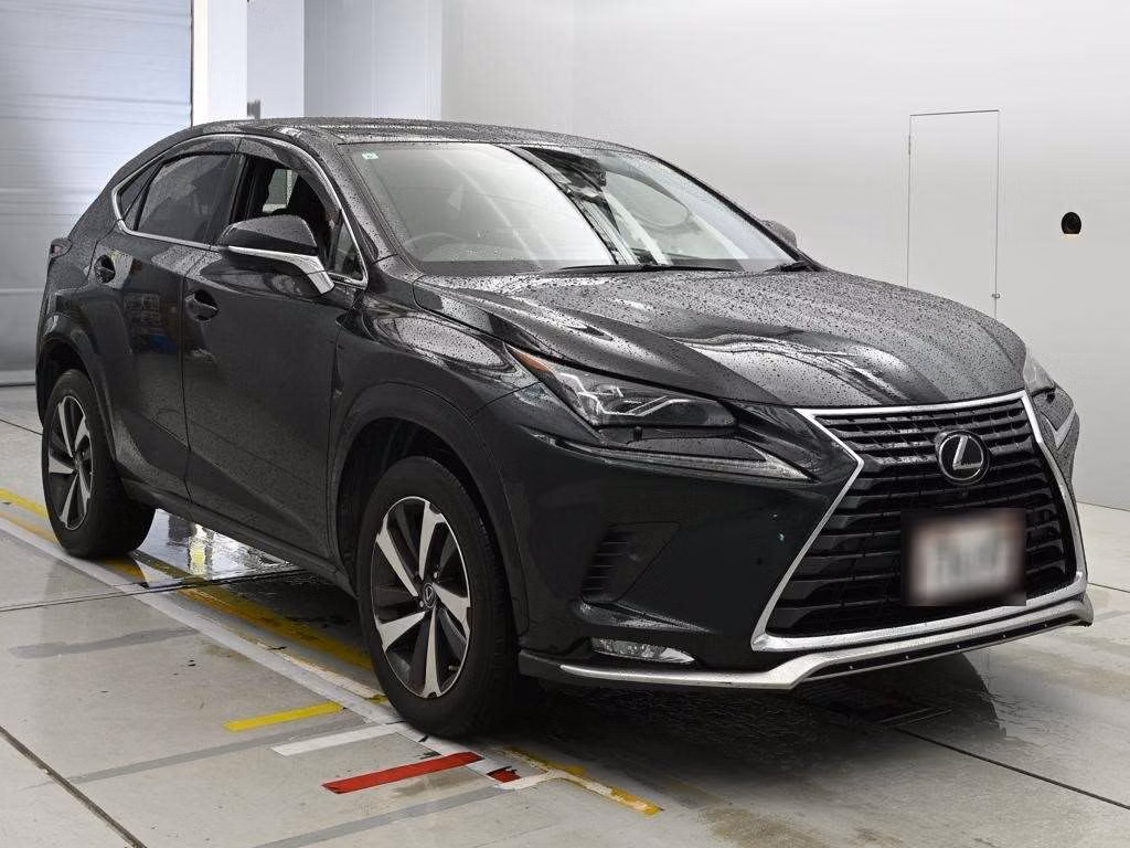 LEXUS NX300