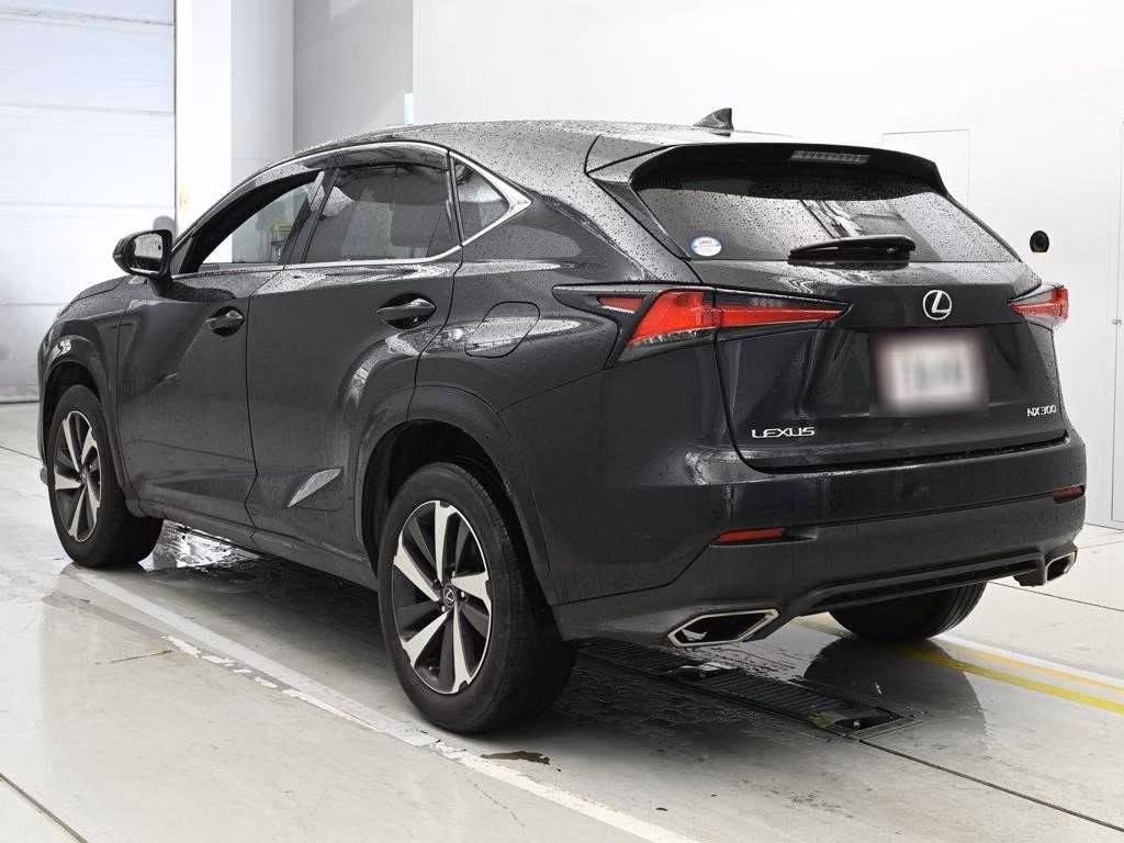 LEXUS NX300