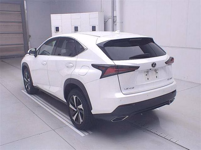 LEXUS NX300