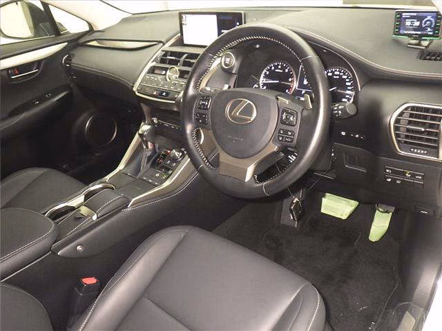 LEXUS NX300