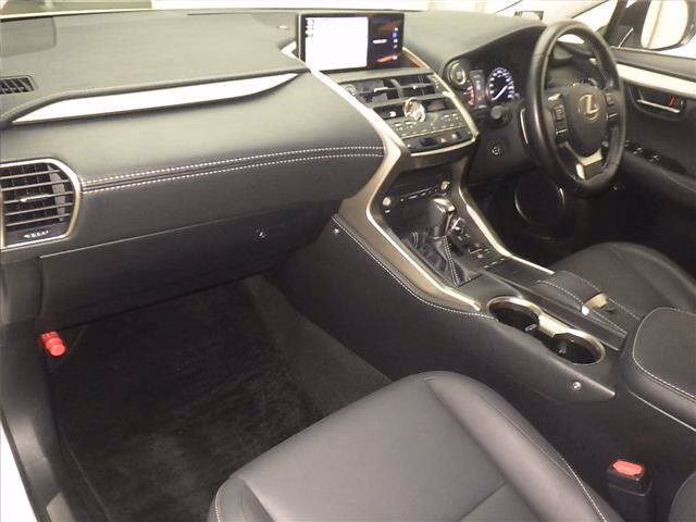 LEXUS NX300